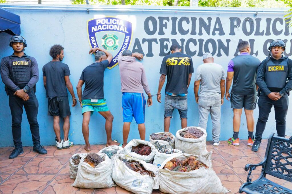 De acuerdo con los registros policiales, “Alto Voltaje” figura como prófugo por otros hechos similares.