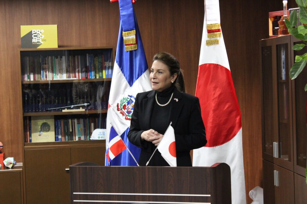 Carolina Mejía, Alcaldesa del DN