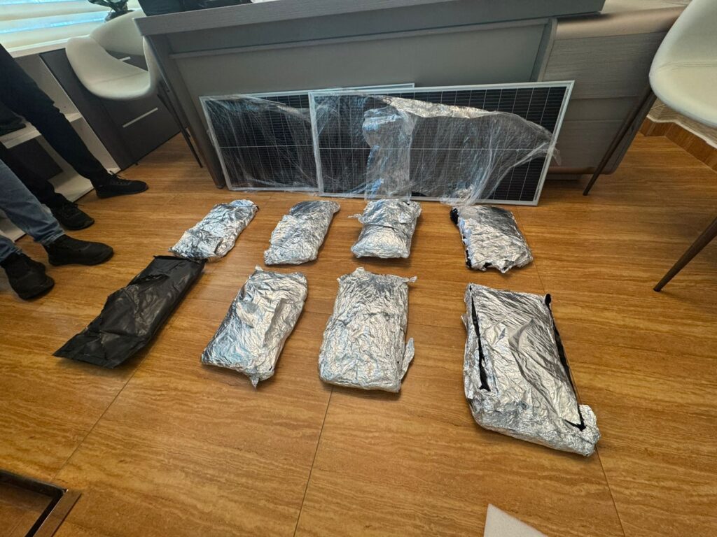 El decomiso de la sustancia se produjo durante una labor de inspección en una compañía de envíos internacionales de Santiago.