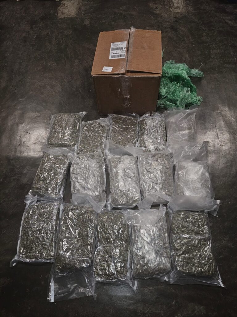Marihuana decomisada