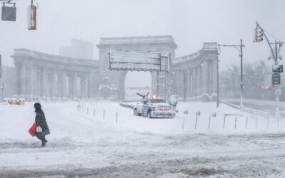 Nieve