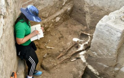Realizarán estudios anatómicos y antropológicos forenses, pruebas de ADN y de carbono 14