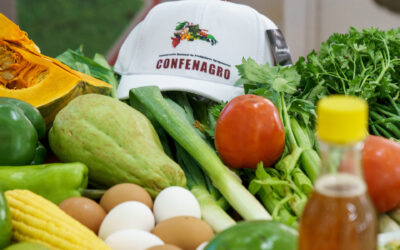 Confederación Nacional de Productores Agropecuarios (CONFENAGRO)