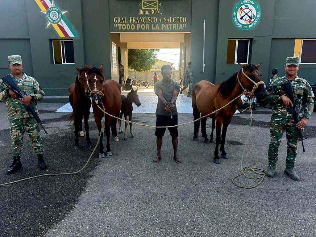 Los soldados rastrearon el desplazamiento de los responsables por la zona de Los Arroyos hacia Los Miches.