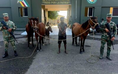 Los soldados rastrearon el desplazamiento de los responsables por la zona de Los Arroyos hacia Los Miches.