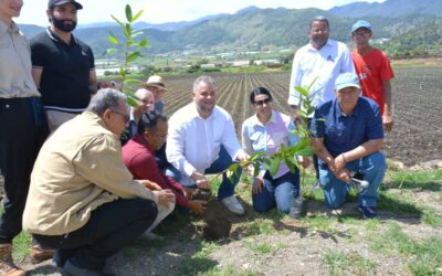 FEDA impulsa la diversificación agropecuaria en Constanza