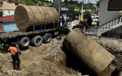 También realizaron operativos contra el comercio ilícito en San Cristobal, donde se decomisaron productos vencidos y falsificados