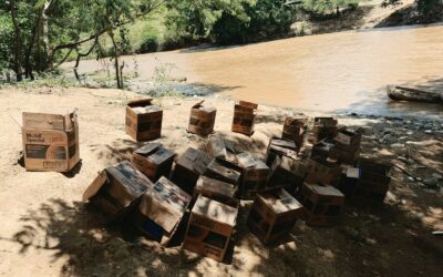 Los soldados del ERD detectaron el desembarco de la mercancía ilícita en la ribera del río Artibonito .
