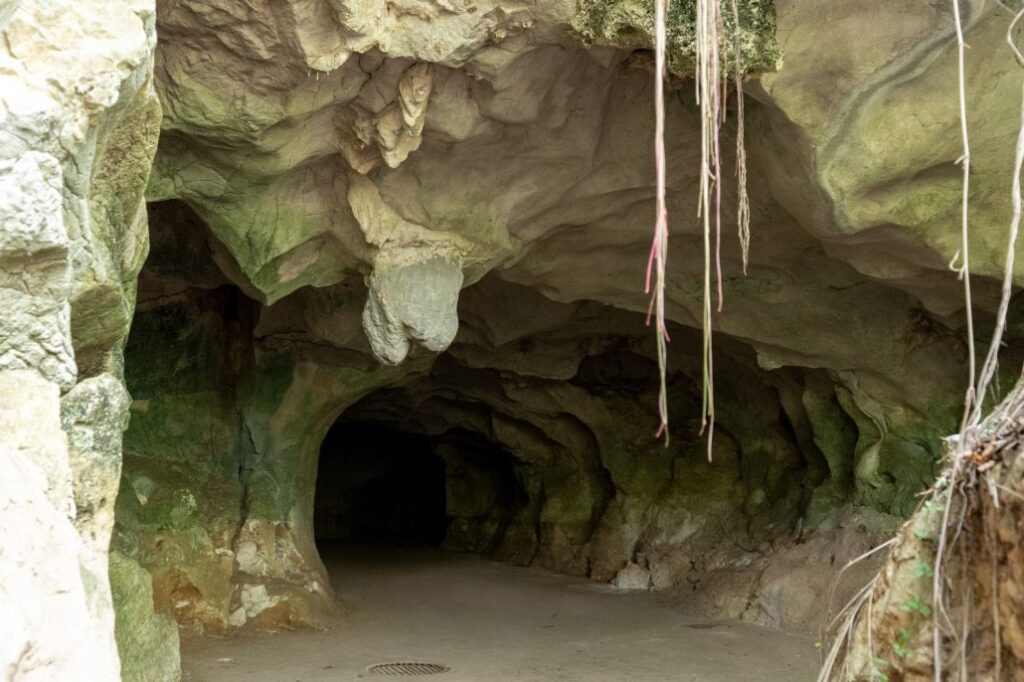 Cuevas del Pomier