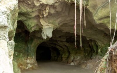 Cuevas del Pomier