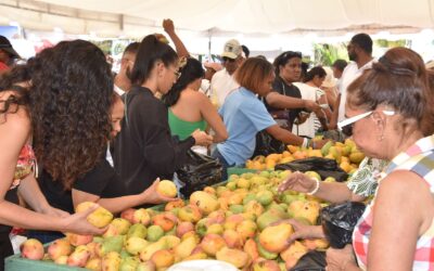 Más de un centenar de empresas agroindustriales, exportadoras y de servicios participaron en la feria, propiciando encuentros comerciales, fortaleciendo las mesas de negocios y generando nuevas oportunidades de inversión