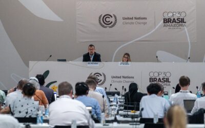 Por primera vez en la historia, una representante dominicana presidirá uno de los principales órganos de negociación científica y técnica de la Convención Marco de las Naciones Unidas sobre el Cambio Climático (CMNUCC).