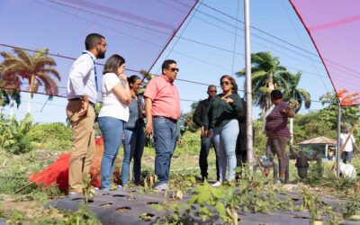 El Sistema Nacional de Contrataciones Públicas movilizó más de RD$ 342 mil millones en adquisiciones de alimentos entre 2020 y 2026, contribuyendo de manera directa al fortalecimiento de la seguridad alimentaria nacional