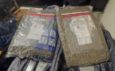 El decomiso del vegetal se produjo durante labores de inspección en una de las áreas de llegada de la terminal