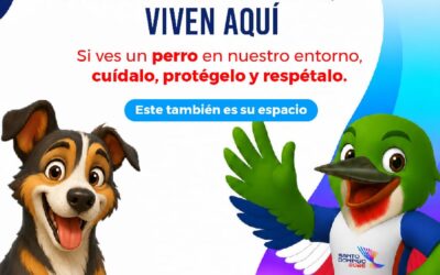 La iniciativa incluye atención veterinaria, desparasitación, alimentación, identificación con dispositivos AirTag y vigilancia para garantizar el bienestar de los animales.
