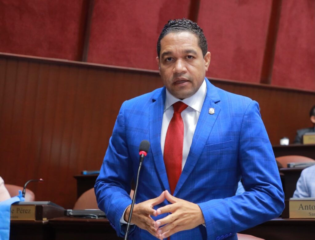 Rafelín Pérez, Diputado PRM