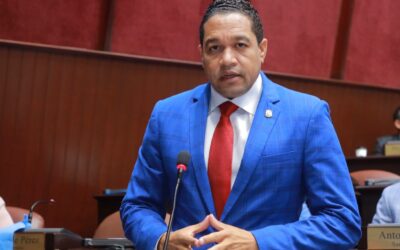 Rafelín Pérez, Diputado PRM
