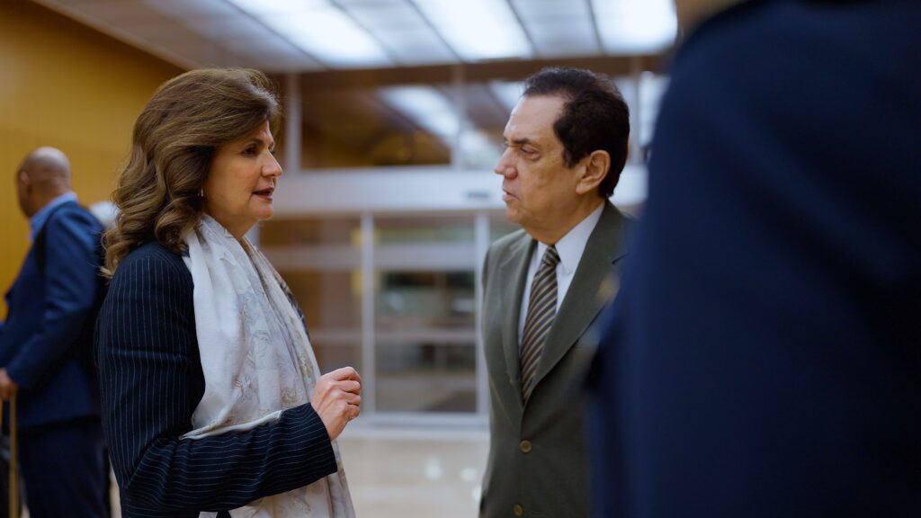 Raquel Peña, vicepresidenta RD