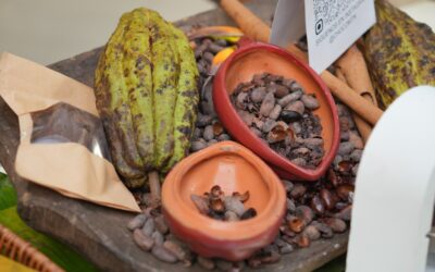 La sexta edición del Festival del Chocolate Dominicano reunirá a más de 18 marcas del 11 al 13 de septiembre en Santo Domingo.