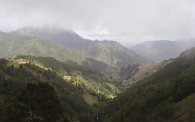 Las postulaciones estarán disponibles hasta el 31 de agosto para reconocer iniciativas que contribuyen a la protección y conservación del medio ambiente en la República Dominicana