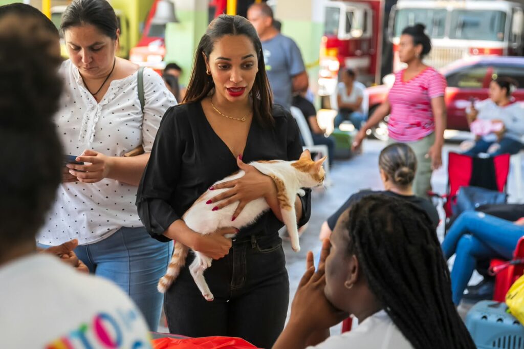 Alcaldía del DN esteriliza 102 animales