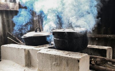 La iniciativa, que busca impactar a miles de hogares en todo el país, tiene como objetivo principal cuidar la salud de las personas y proteger el medioambiente.