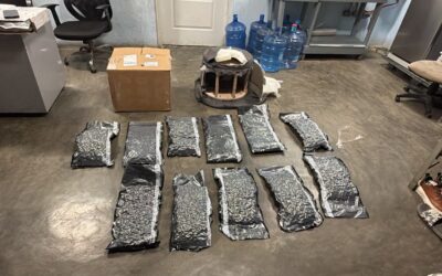 La sustancia fue detectada en una de las áreas de carga de la terminal mediante rayos X y unidades caninas en un envío procedente de Miami