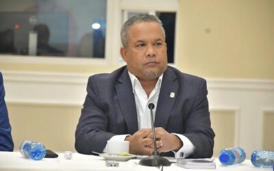 El senador oficialista reconoció que sería difícil derrotar a Fernández y destacó su inteligencia, humildad y aceptación entre los dominicanos