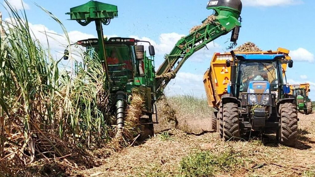 Zafra Azucarera